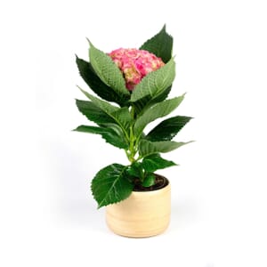 14bd98edddca53940adb